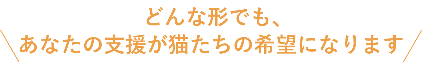 どんな形でも、あなたの支援が猫たちの希望になり
ます
